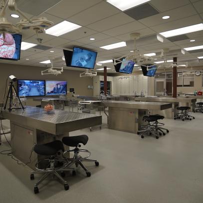 displays in ceiling