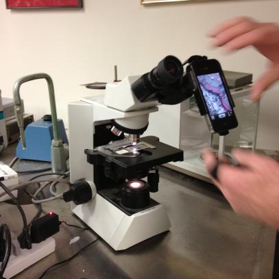 Microscope